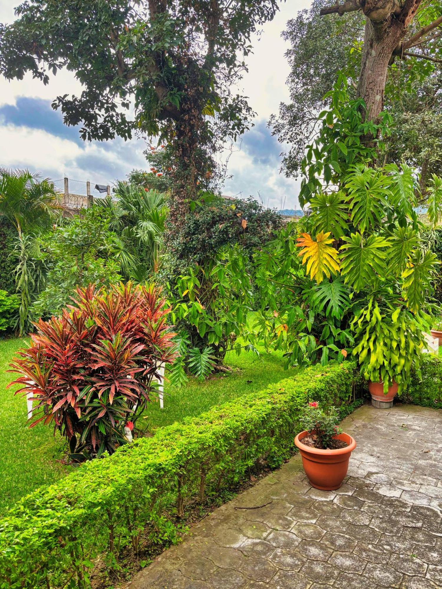 Alana Hotel By Ish Antigua ภายนอก รูปภาพ